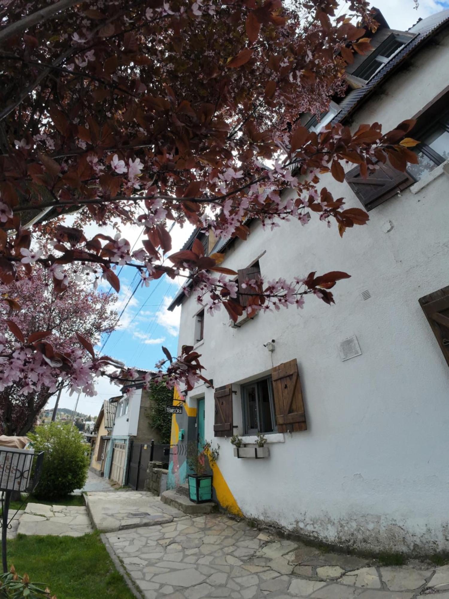 Temiscira Hostel Сан-Карлос-де-Барилоче Экстерьер фото